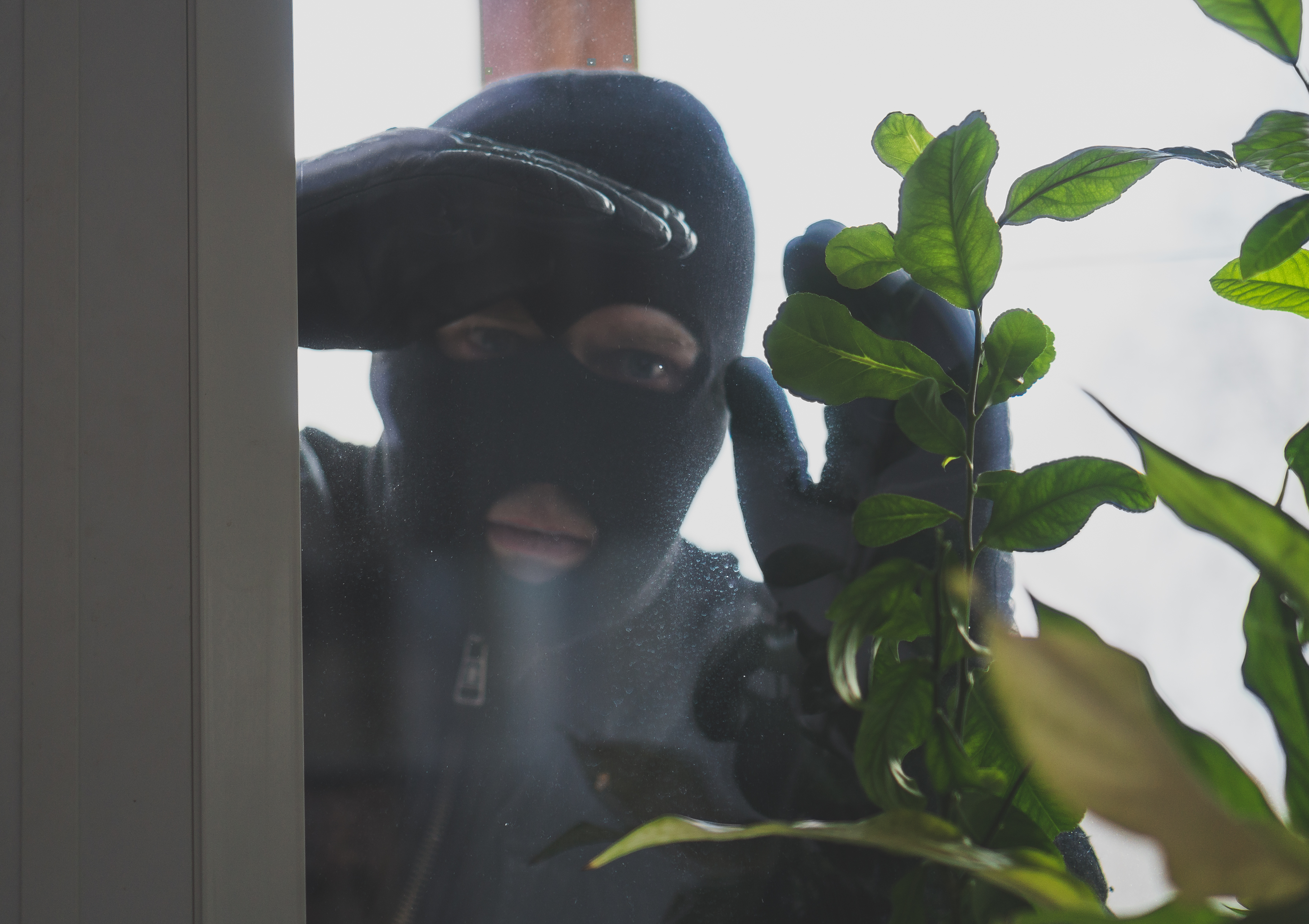 Indbrudstyv kigger ind af vinduet