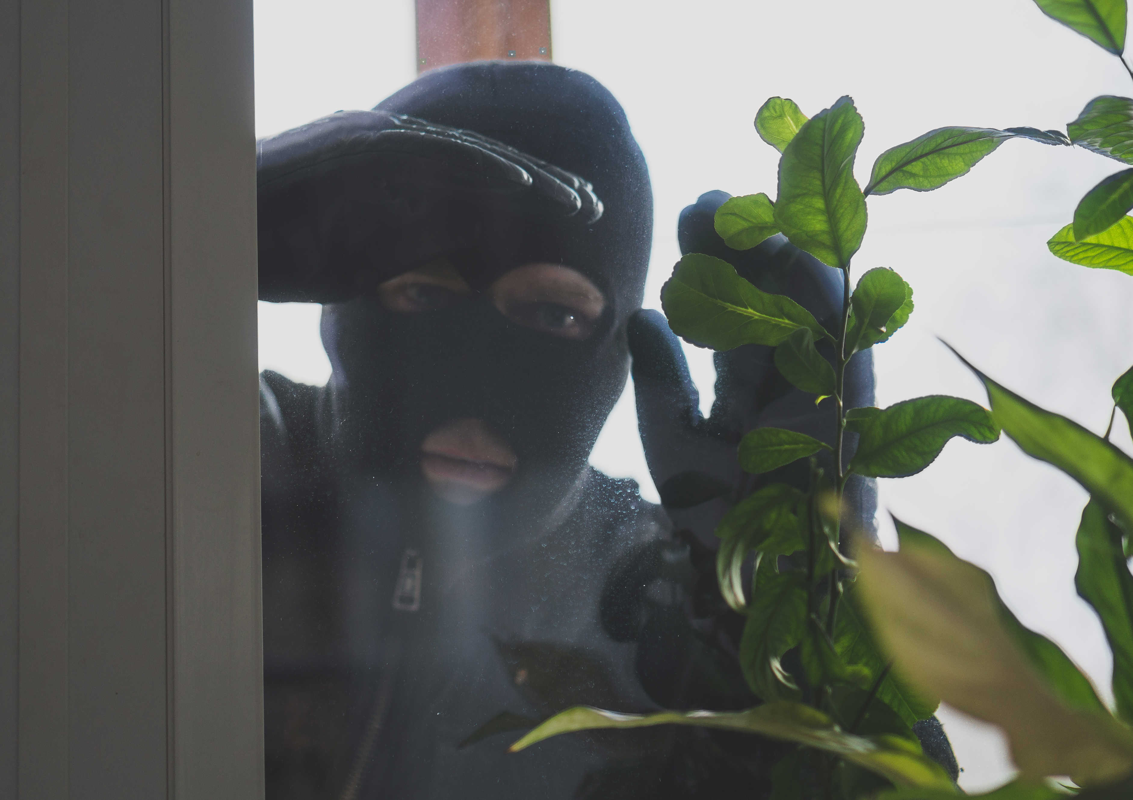 Indbrudstyv kigger ind af vinduet