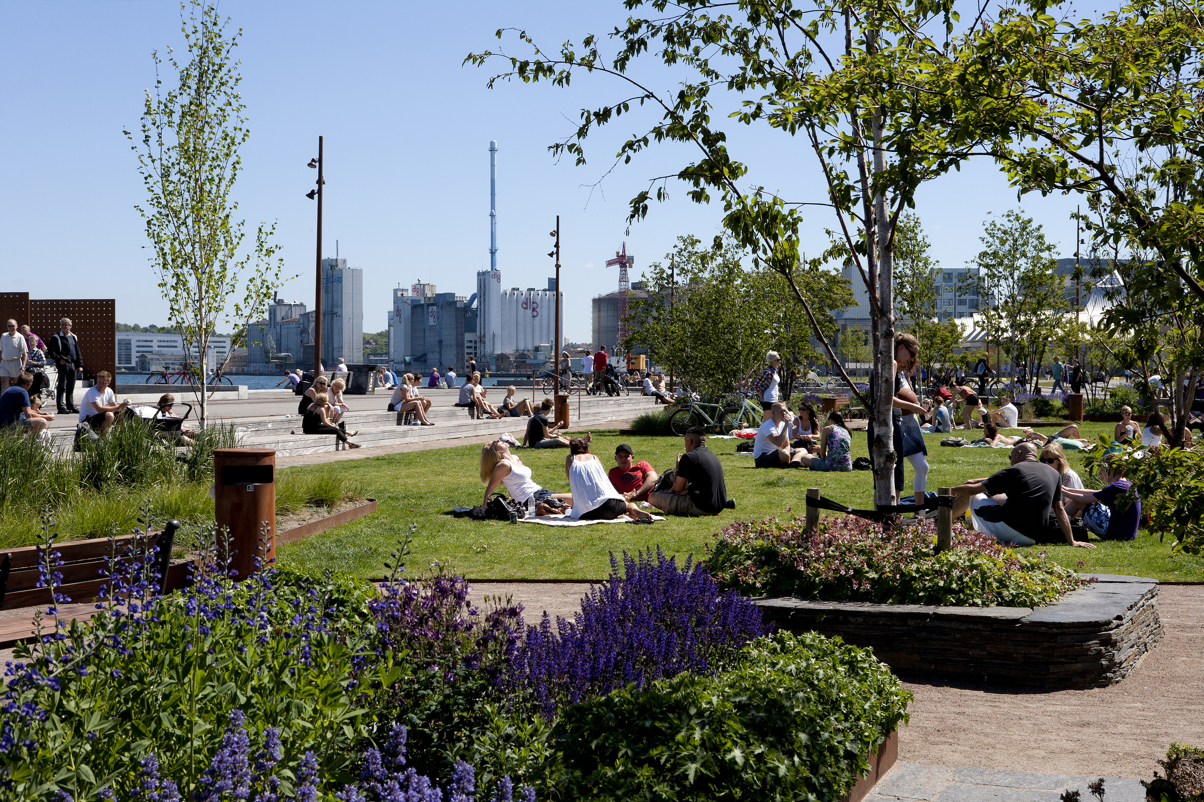 Unge Mennesker, Der Sidder På Græsset Ved Aalborg Havnefront