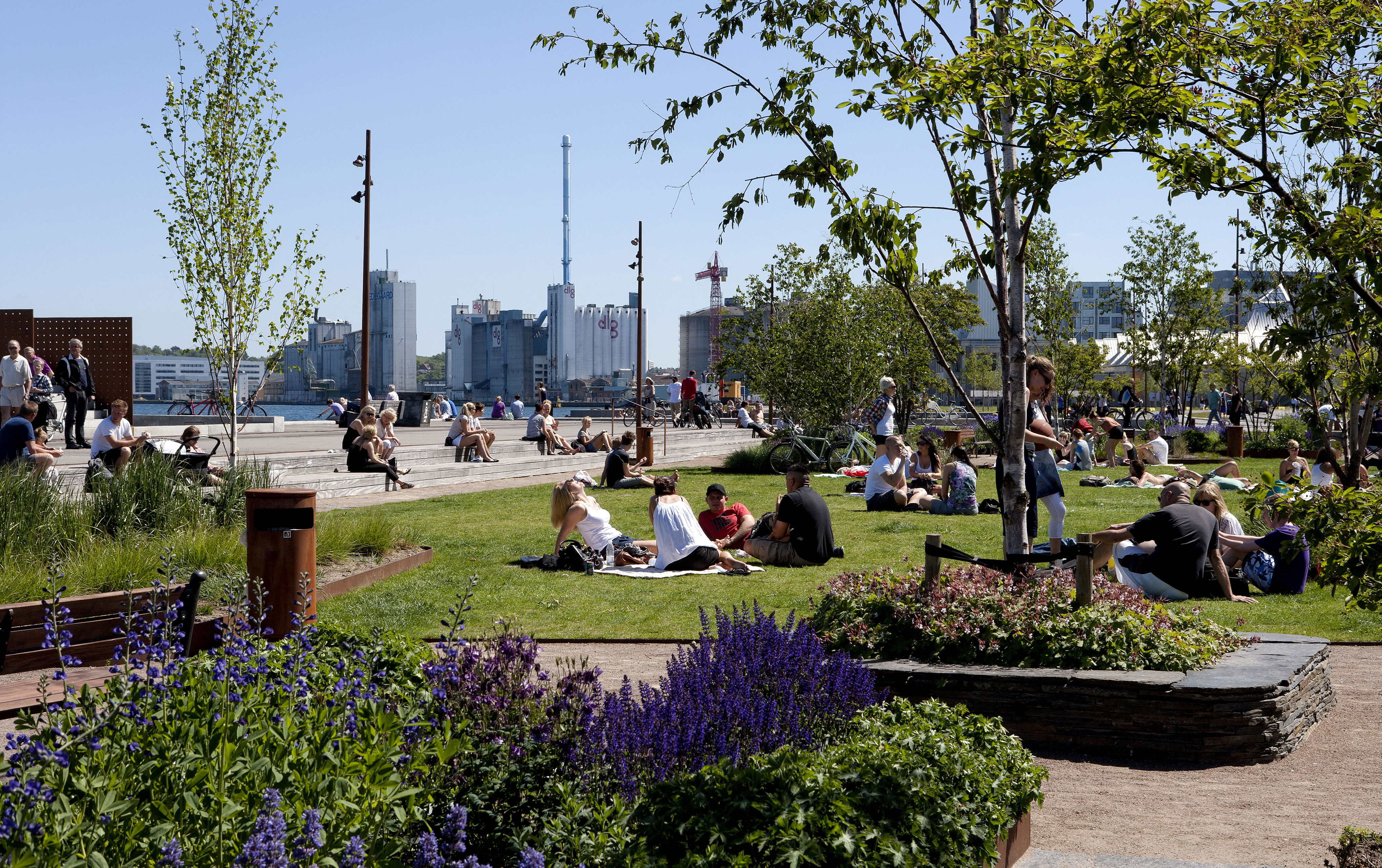 Unge Mennesker, Der Sidder På Græsset Ved Aalborg Havnefront